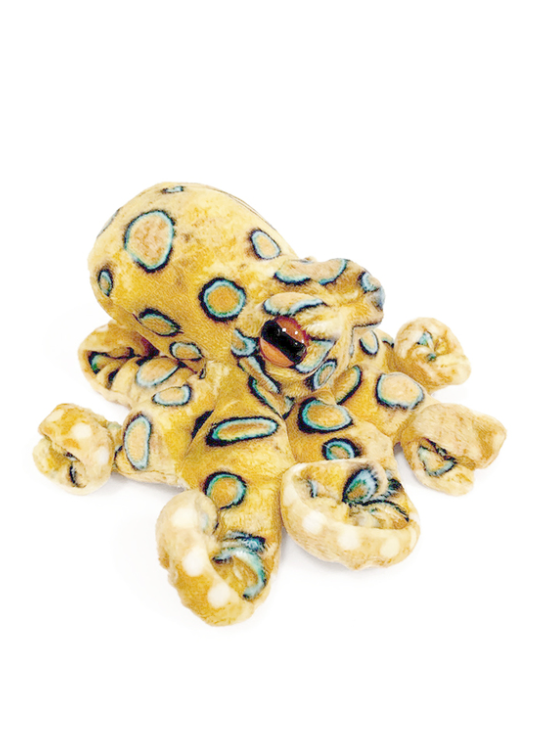 Folkmanis Finger Puppet Blue RInged Octopus