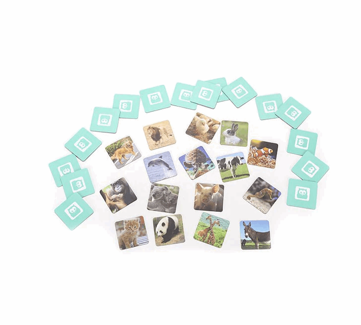 EurekaKids Animal Memo Game Card Game