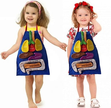 3D Anatomy Apron with Detachable Organs Learning Aid