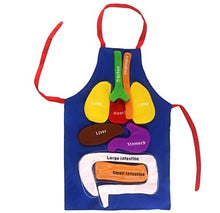 Load image into Gallery viewer, 3D Anatomy Apron with Detachable Organs
