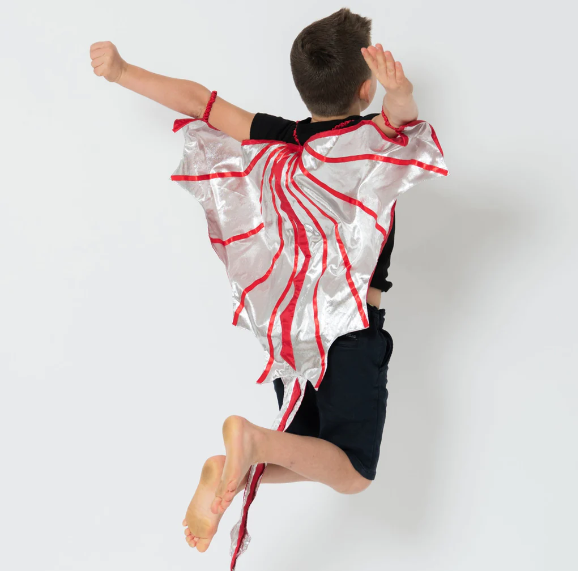 Dress Up Dragon Trainer Cape Red Costume