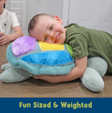 Load image into Gallery viewer, Meavia Sunny The Weighted Lap Sensory Turtle
