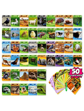 Cognition Flash Cards Animal World Learning Aid