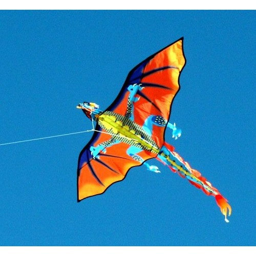 Windspeed Fire Dragon Kite Outdoor Play