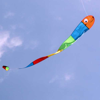 Windspeed Wilma Worm Kite Outdoor Play