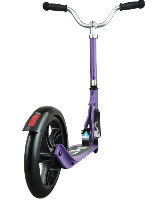 Micro Scooter Cruiser Ride On Scooter