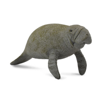 Collecta Manatee Figurine