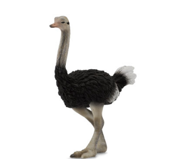 Collecta Ostrich Figurine