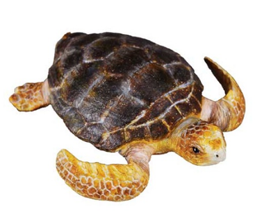 Collecta Loggerhead Turtle Figurine