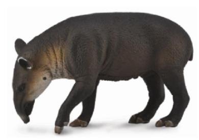 Collecta Bairds Tapir Figurine