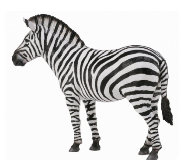 Collecta Common Zebra Figurine