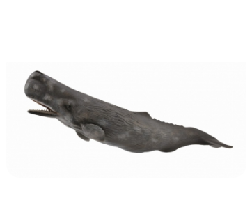 Collecta Sperm Whale Figurine