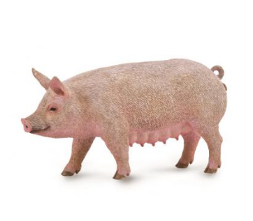 Collecta Sow (pig) Figurine
