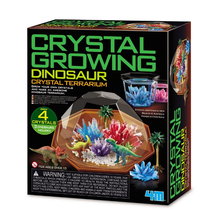 Load image into Gallery viewer, Dinosaur Crystal Terrarium
