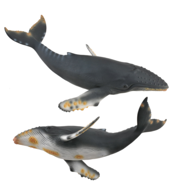 Collecta Humpback Whale Figure