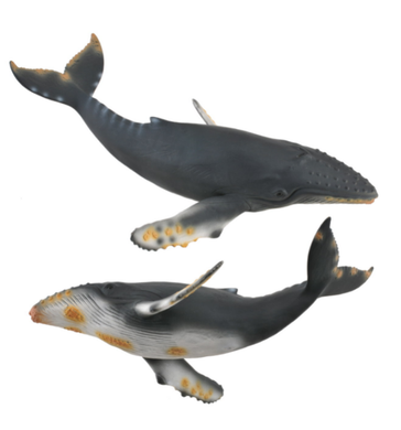 Collecta Humpback Whale Figure