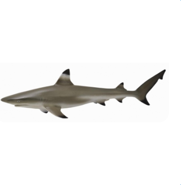 Collecta Blacktip Reef Shark Figure