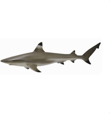 Collecta Blacktip Reef Shark