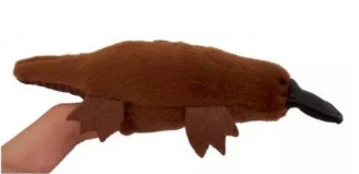 Finger Puppet Platypus puppet