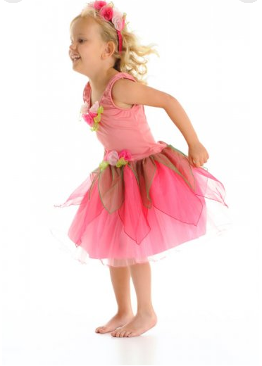 Dress Up - Maple Fairy Dress Dusty Pink Costume