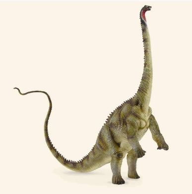 Collecta Diplodocus Dinosaur