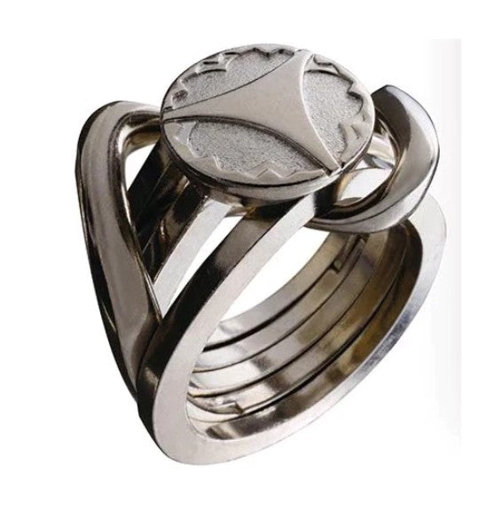 Hanayama Huzzle Cast Rings II Level 5 Puzzle