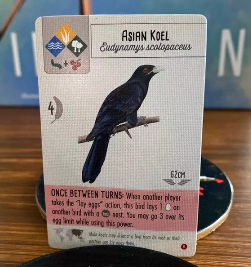 Wingspan Asia Game