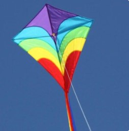 Windspeed Waves Diamond Kite Outdoor Play