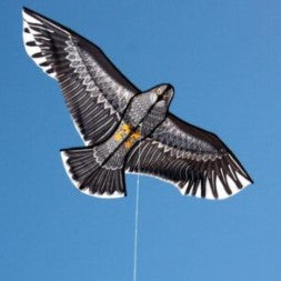 Windspeed Eagle Kite Kites