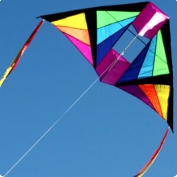 Windspeed Cell Delta Kite Kites