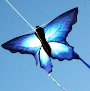 Windspeed Ulysses Butterfly Kite Kites