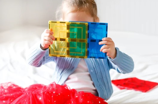 Learn & Grow Toys Magnetic Tiles Large Squares Construction