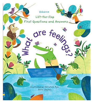 What Are Feelings? Lift the Flap H/C Book Book
