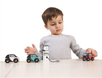 Tenderleaf Smart Car Set Transport