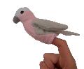 Finger Puppet Galah puppet