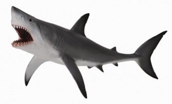 Collecta Great White Shark