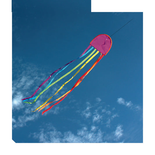 Windspeed JellyFish Kite Outdoor Play