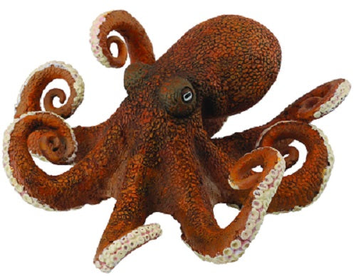 Collecta Octopus
