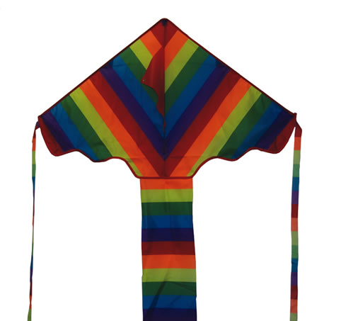 Windspeed Rainbow Delta Kite Outdoor Play