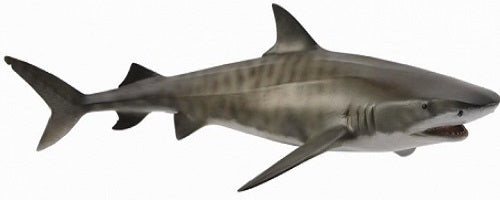 Collecta Tiger Shark Figurine