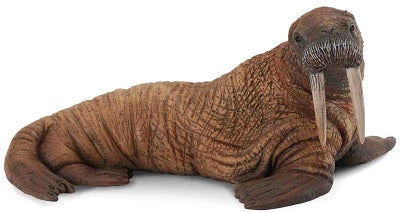 Collecta Walrus Adult